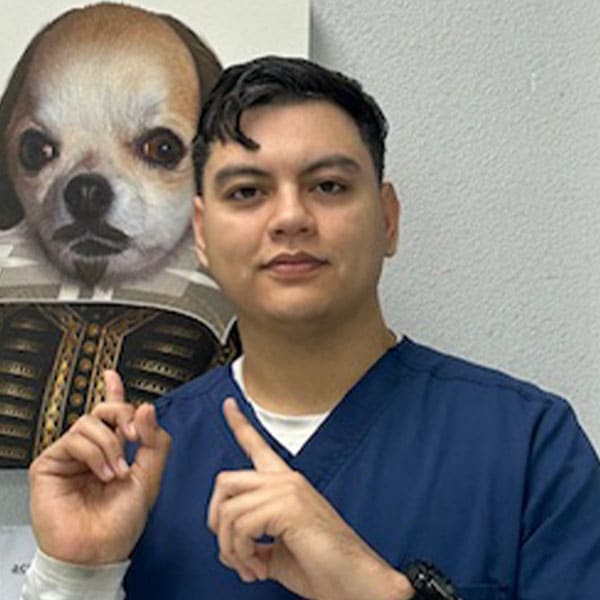 David Soto, Los Angeles Receptionist